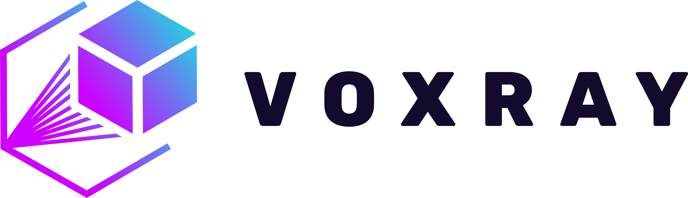 VOXRAY